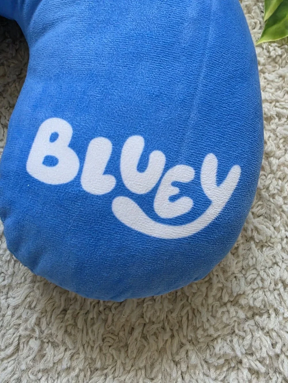 Bluey bnwot tag